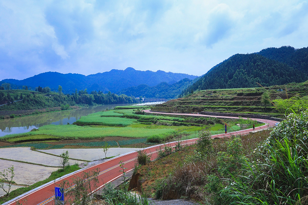 1682265780758685.png 图片7.png