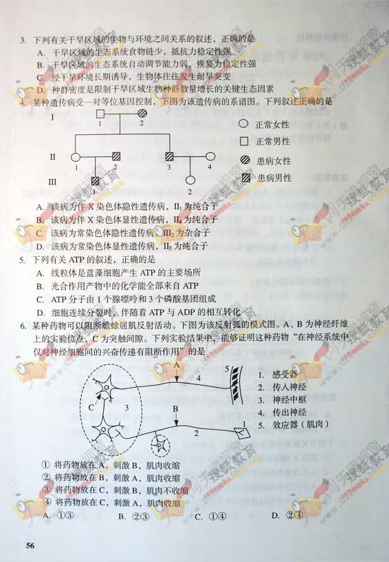 2006߿ۺ⼰